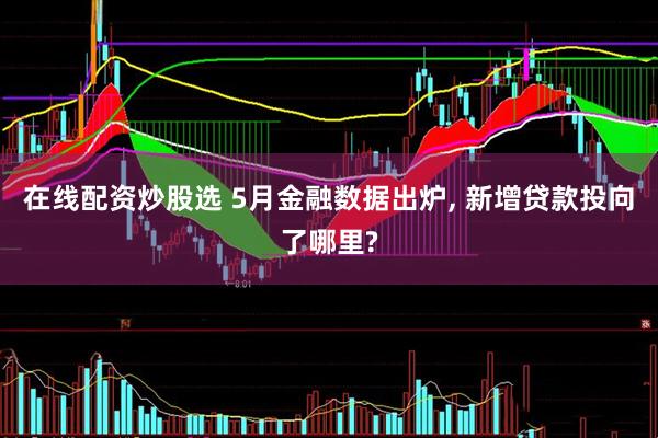 在线配资炒股选 5月金融数据出炉, 新增贷款投向了哪里?