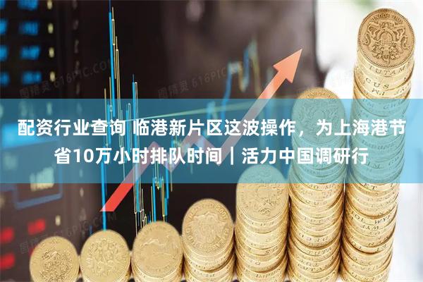 配资行业查询 临港新片区这波操作，为上海港节省10万小时排队时间｜活力中国调研行
