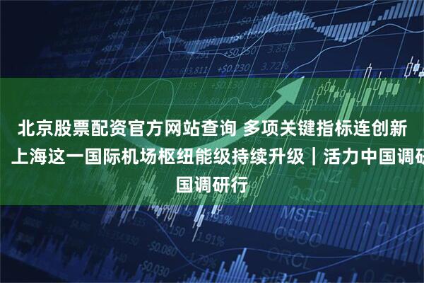 北京股票配资官方网站查询 多项关键指标连创新高！上海这一国际机场枢纽能级持续升级｜活力中国调研行